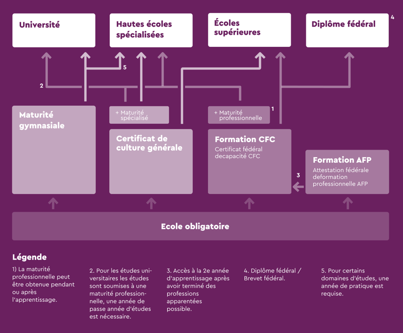 Système éducatif suisse _ violet