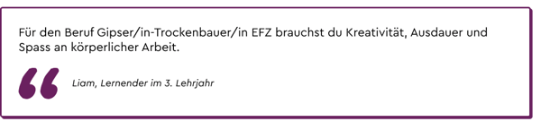 Zitat Gipser-Trockenbauer EFZ (2)
